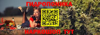гидра Краснознаменск