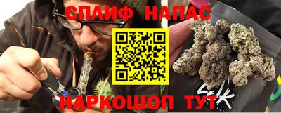 гидра Краснознаменск