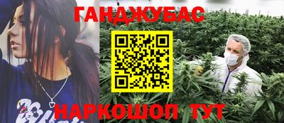 гидра Краснознаменск