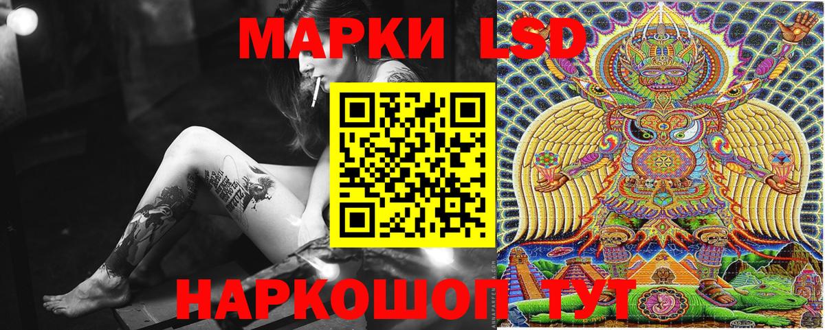 Альфа ПВП Ейск