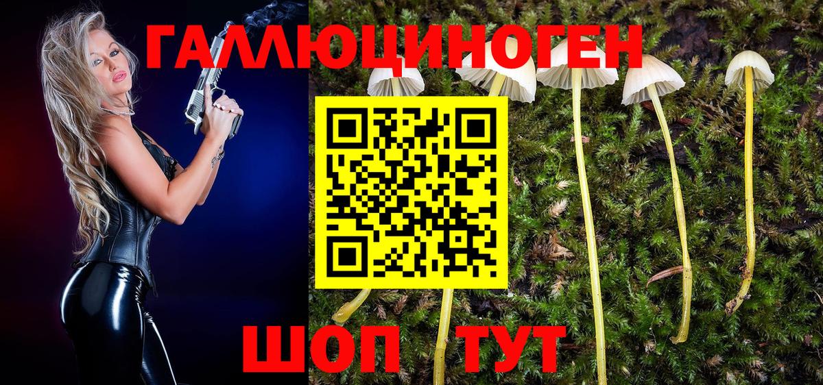 Псилоцибиновые грибы прущие грибы Ейск